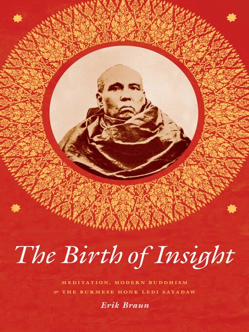 Title details for The Birth of Insight by Erik Braun - Available